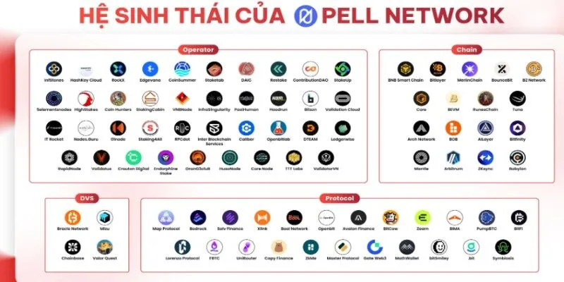 Cách thức vận hành của Pell Network là gì
