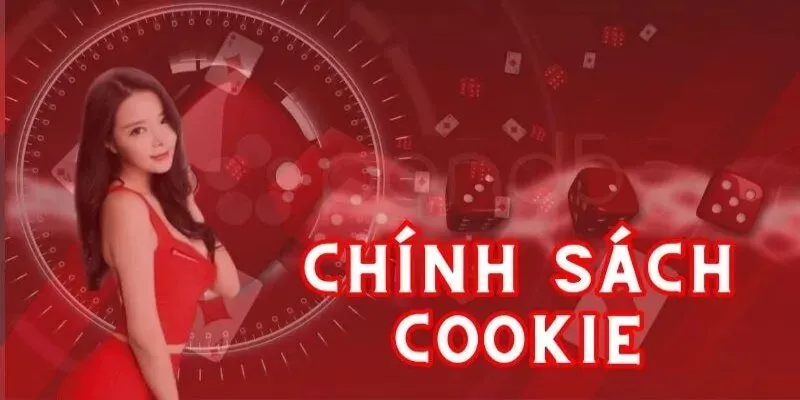 Hệ thống chính sách thiết yếu của cookie