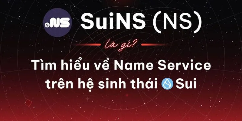Thông tin cơ bản xoay quanh Suins NS là gì?