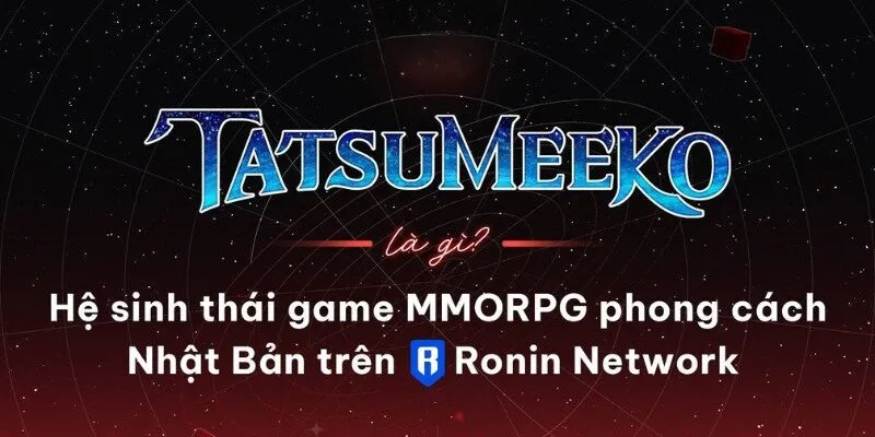 Tìm hiểu về Tatsumeeko là gì?