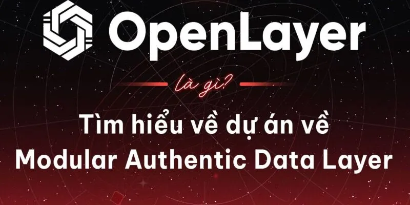 Tổng quan về OpenLayer là gì?