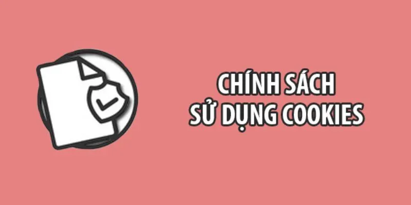 Top chính sách cookie được áp dụng